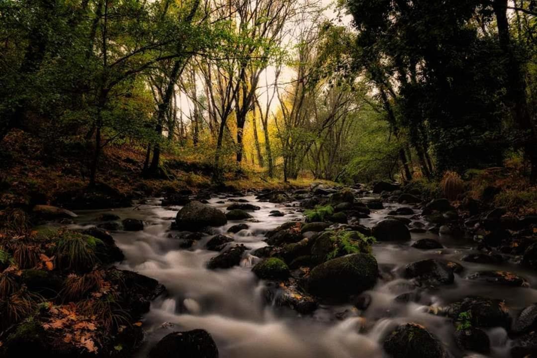 Hostel El Lago, Caceres Jaraiz de la Vera Kültér fotó